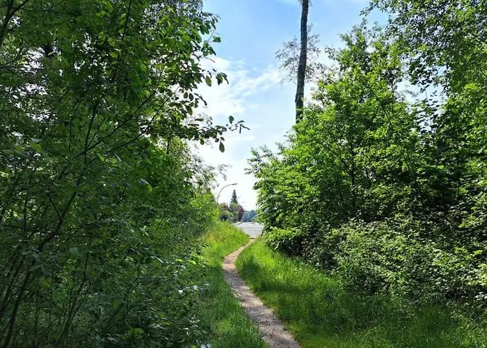 Auguste מונסטר אים היידקרייס